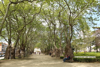Jardim da Cordoaria