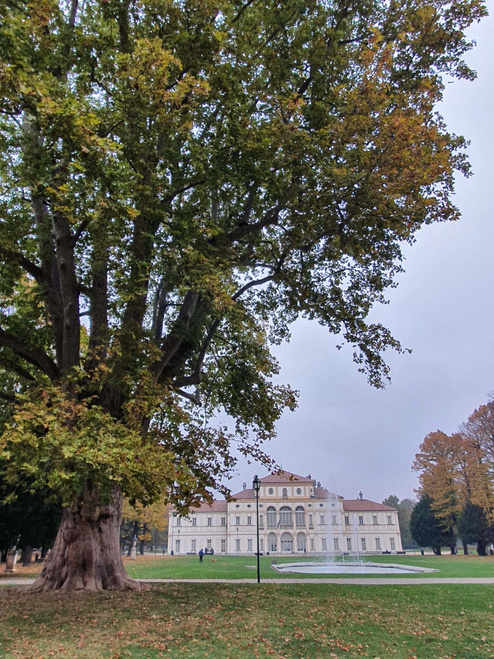 parco della tesoriera