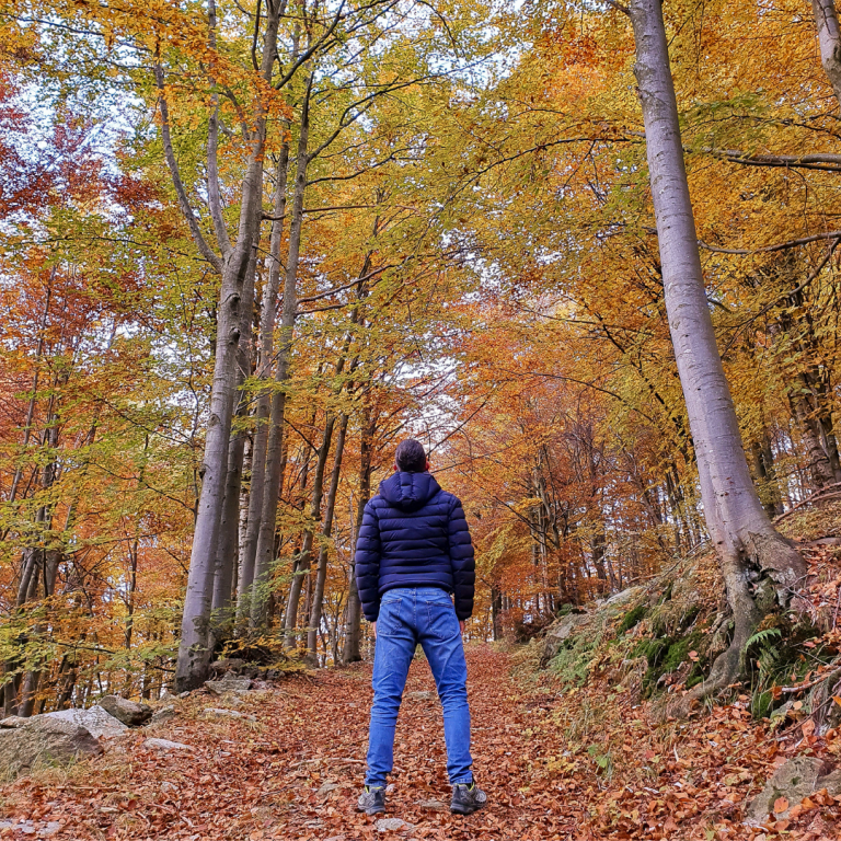 piemonte in gita - oasi zegna - bosco del sorriso
