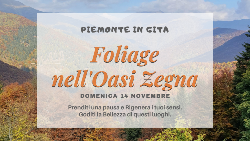 gita oasi zegna 16-9