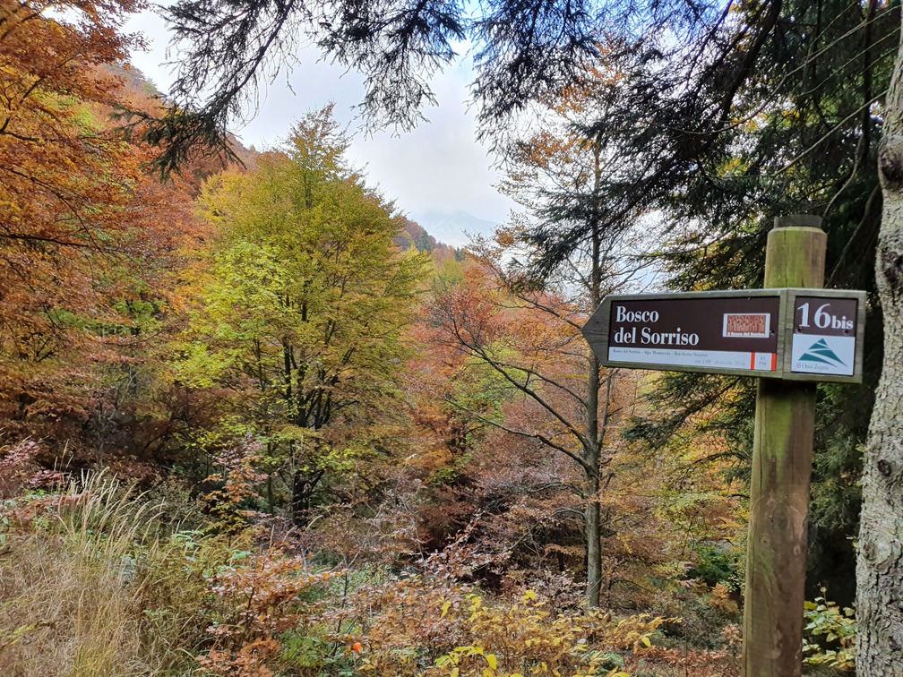 Bosco del Sorriso