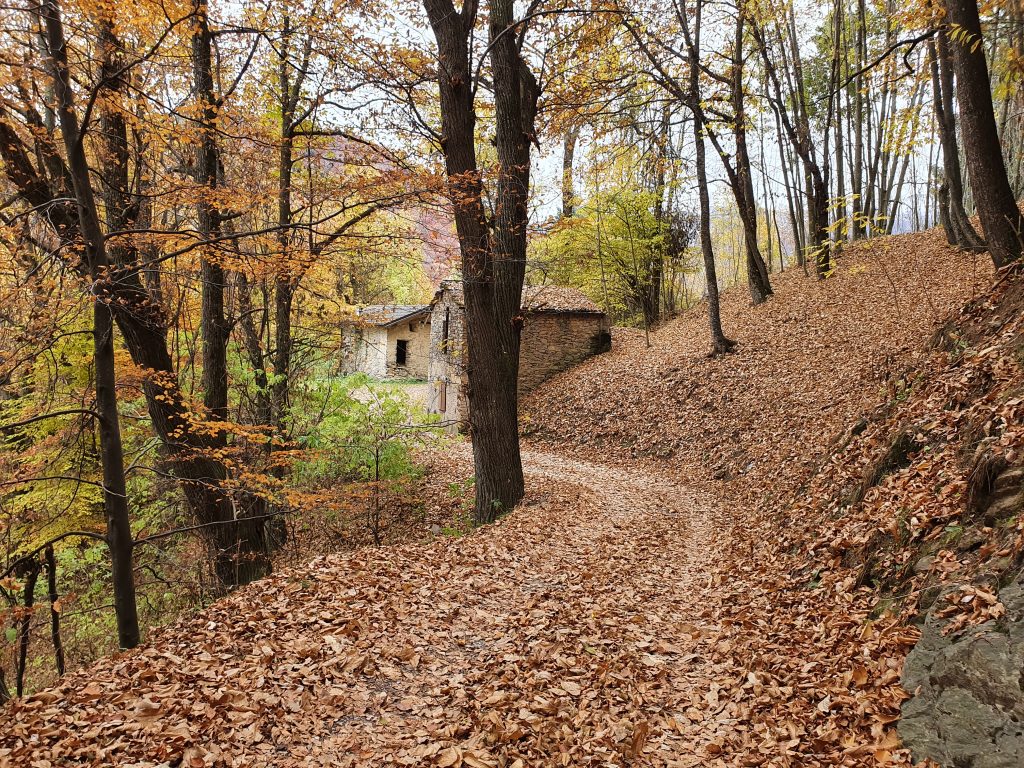Il Foliage nella Valle Grana