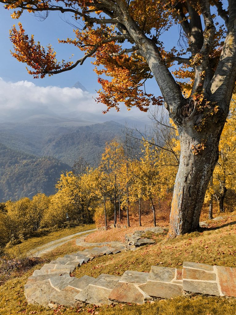 Scorcio autunnale con vista sul Monviso - Ostana, Valle Po (CN)