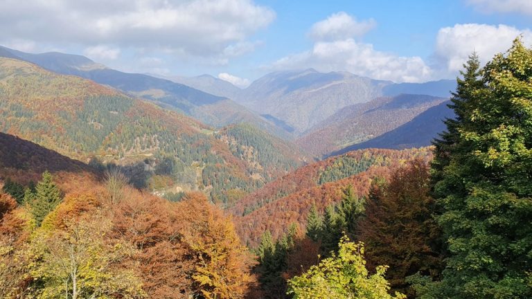 Oasi Zegna parchi e natura piemonte