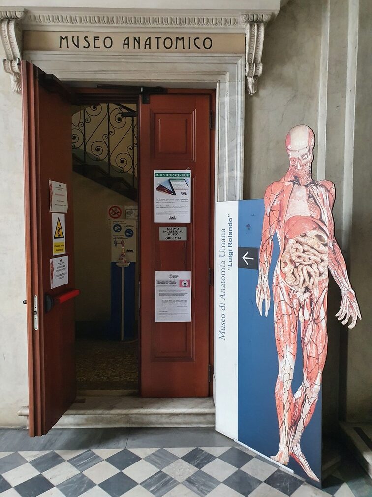 museo anatomia umana torino