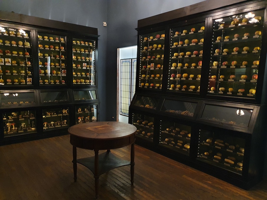 museo della frutta musei di torino
