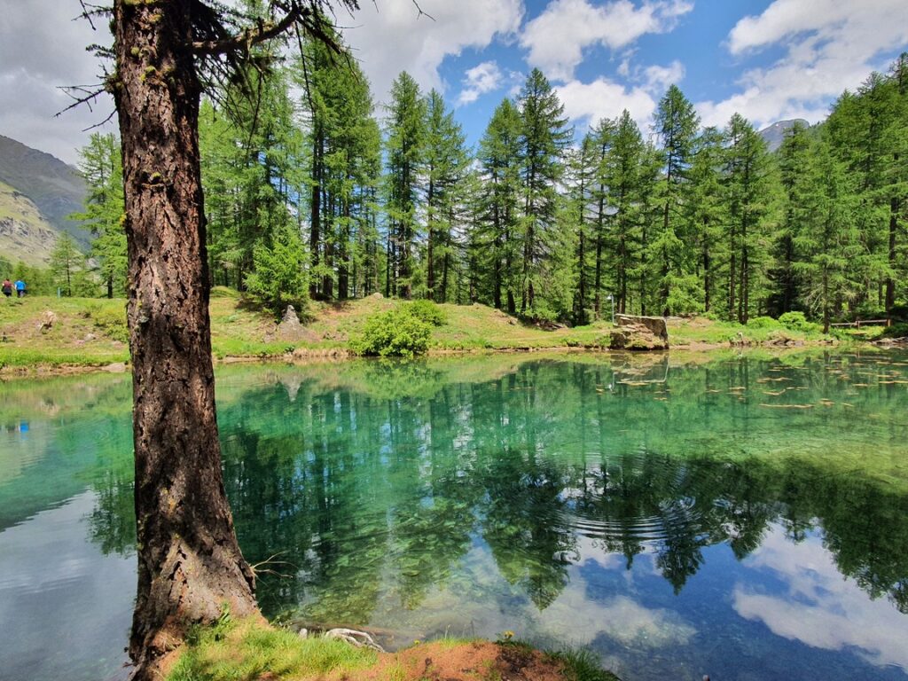 lago pellaud verde valle d'aosta