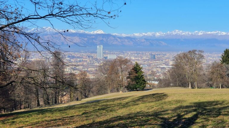 parchi di torino